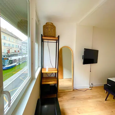 Geneva Modern Apartment Gaillard